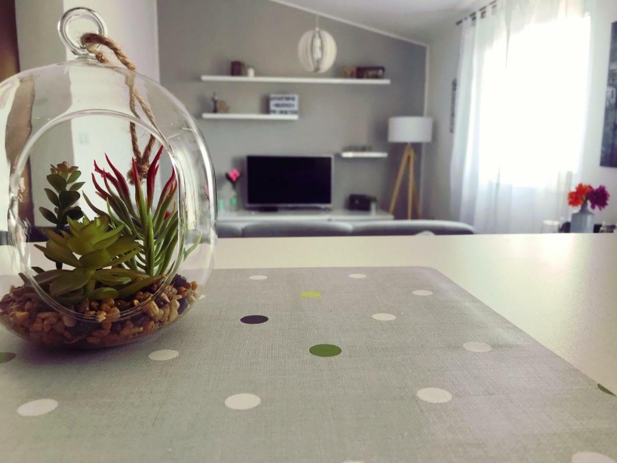 Apartman Marko Primošten Екстериор снимка